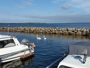 Boats moored in sea