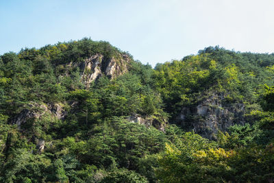 Scenic view of trees and mountains against sky