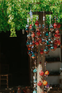 Close-up of multi colored glass decoration hanging by plants
