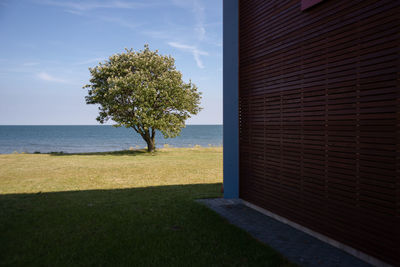 Building by tree on shore against sky