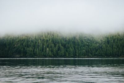 Scenic view of lake in forest against sky
