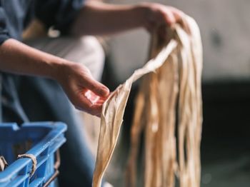 Midsection of man holding hands