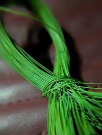 Macro shot of a plastic yarn.