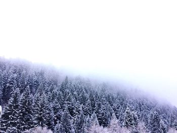 Scenic view of snow covered landscape