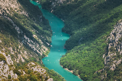 High angle view of river amidst trees