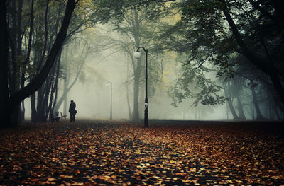 Person standing on footpath in park during foggy weather