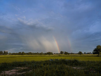Scenic view of field against rainbow in sky