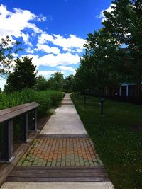 Empty footpath amidst trees