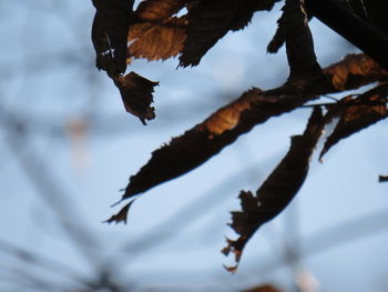 Close-up of water against sky