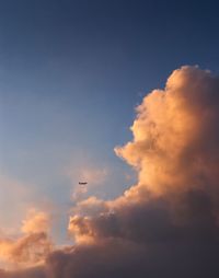 Low angle view of airplane flying in sky