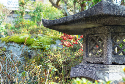 Scenic view of red and white flowers in temple