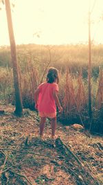 Rear view of girl standing on tree