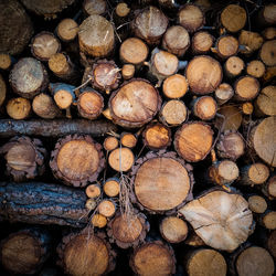 Full frame shot of firewood