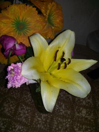 Close-up of yellow flower