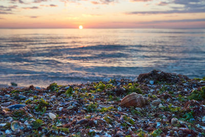 Scenic view of sea against sky during sunset