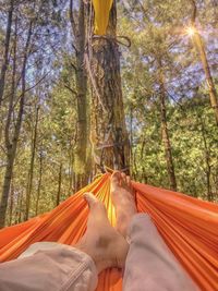 Low section of man relaxing in hammock hanging on tree in forest