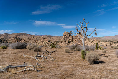 Scenic view of desert against sky