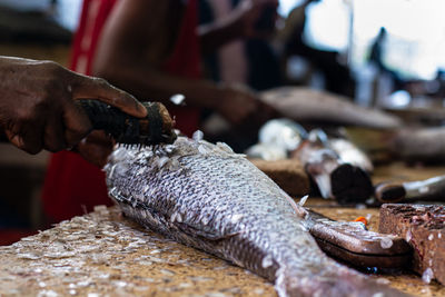 Close-up of hand holding fish at market