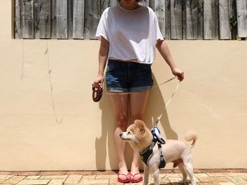 Low section of man with dog on street