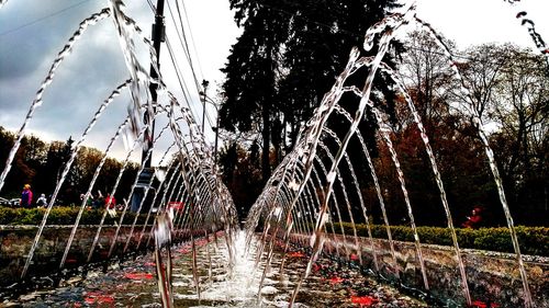 Wet trees by bridge against sky