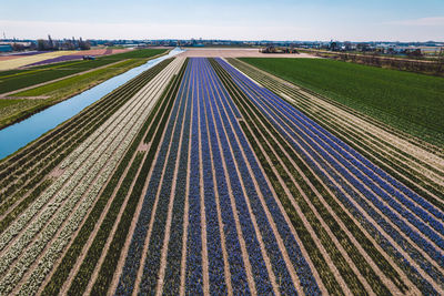 High angle view of agricultural field in city against sky