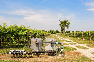 View of agricultural field against sky