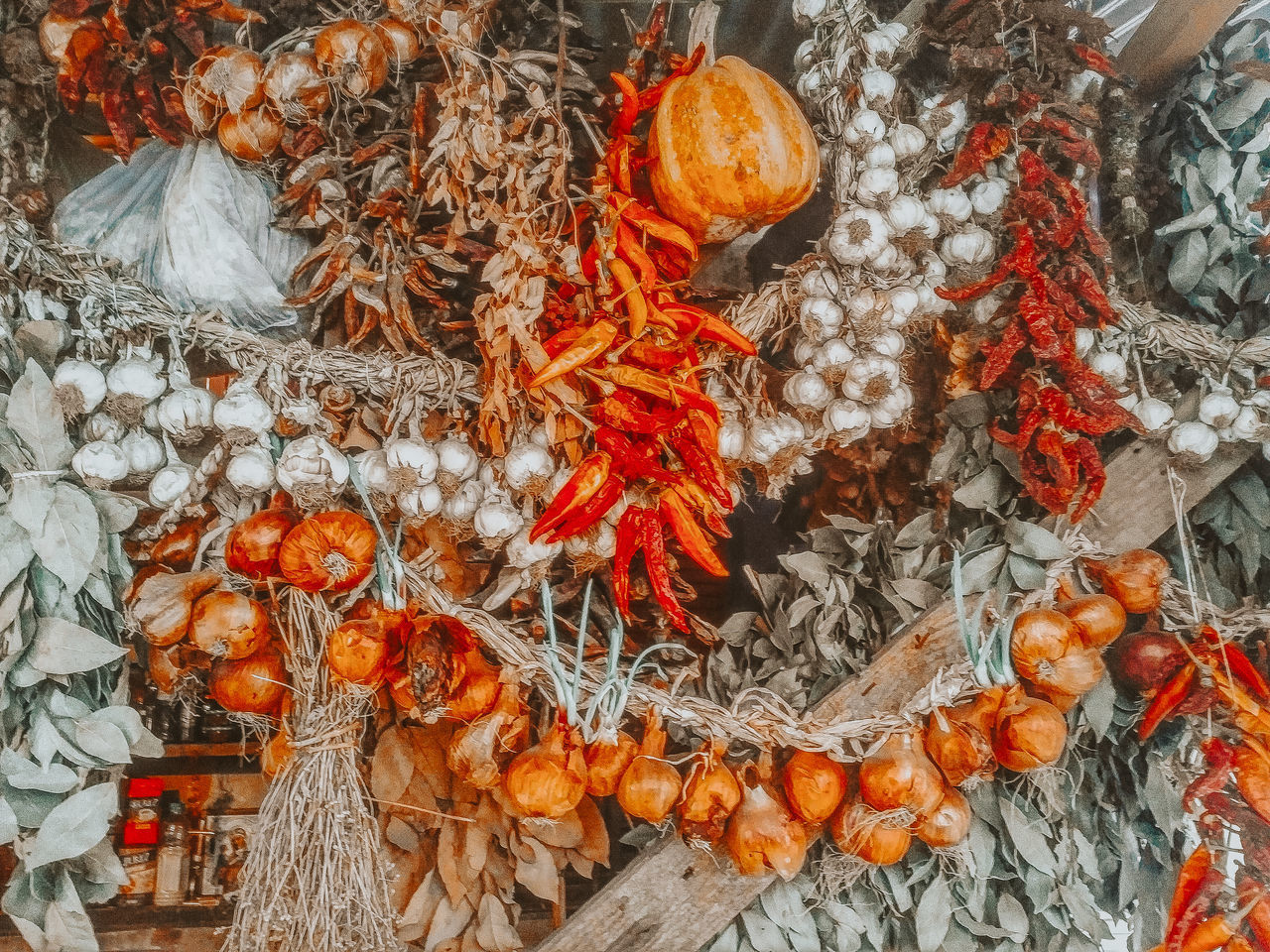 HIGH ANGLE VIEW OF ORANGE BERRIES ON STREET