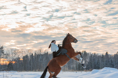 A girl in a white cloak rides a brown horse in winter. golden hour, setting sun. the horse rears up.