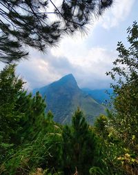 Scenic view of trees and mountains against sky