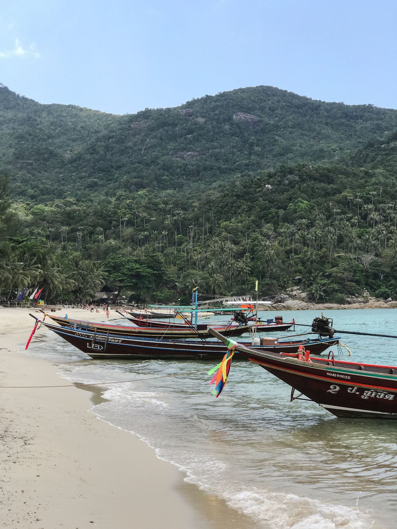 Ko pha ngan