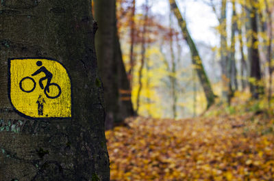 Close-up of arrow sign on tree trunk in forest