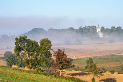 Misty morning in a beautiful rural landscape