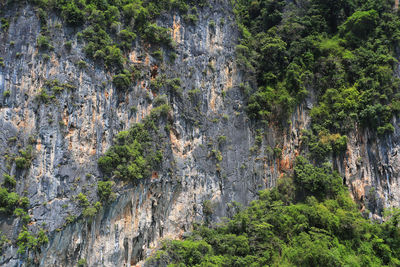 Scenic view of waterfall