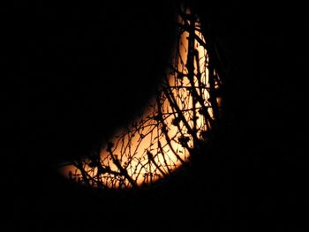 Low angle view of silhouette bare tree against sky at night