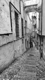 Empty alley amidst buildings