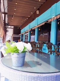 Potted plants on table in restaurant