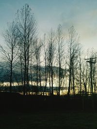 Silhouette trees against sky during sunset