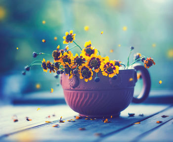 flower