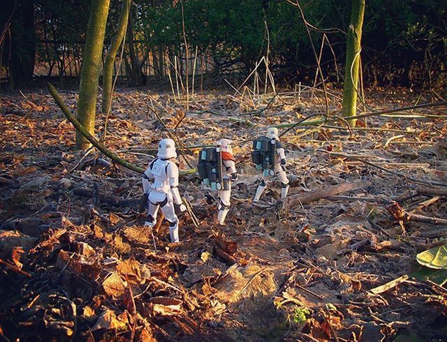 forest, full length, field, transportation, tree, day, nature, outdoors, mode of transport, childhood, high angle view, dirt, abandoned, people, messy, sunlight, lifestyles, leisure activity