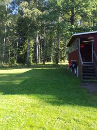 Scenic view of grass