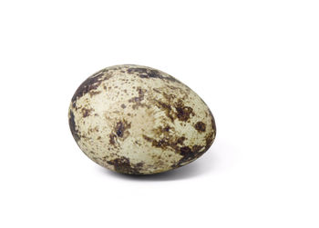 Close-up of bread against white background