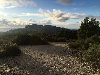 Scenic view of landscape against sky