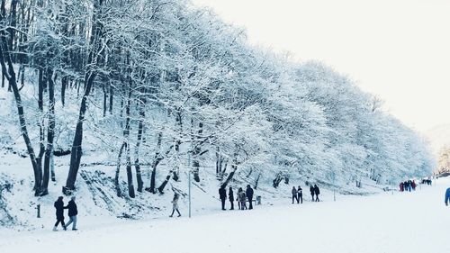 People on snow covered trees against sky