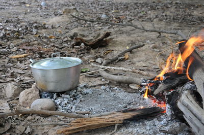 Close-up of burning candles on wooden log