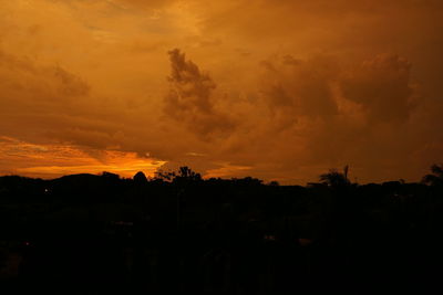 Silhouette trees against sky during sunset