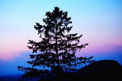 Low angle view of silhouette tree against clear sky