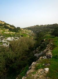 Scenic view of river in forest against clear sky