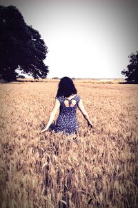 Trees in field