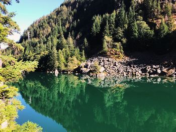 Scenic view of river in forest against sky