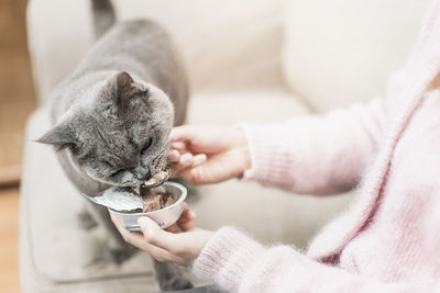 Midsection of person holding cat